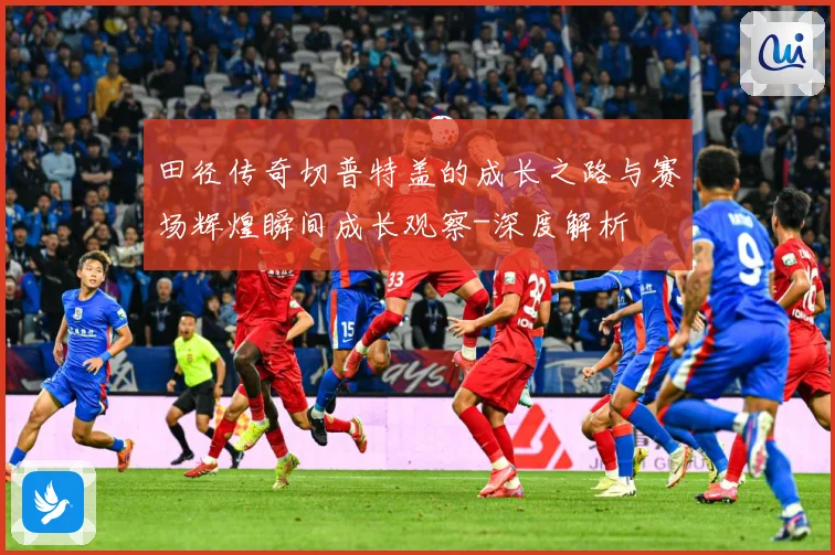 田径传奇切普特盖的成长之路与赛场辉煌瞬间成长观察-深度解析